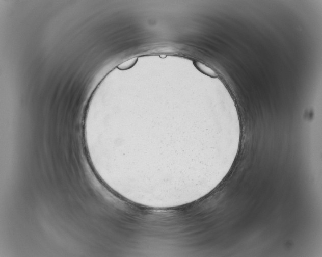 X0000112461483200909281008