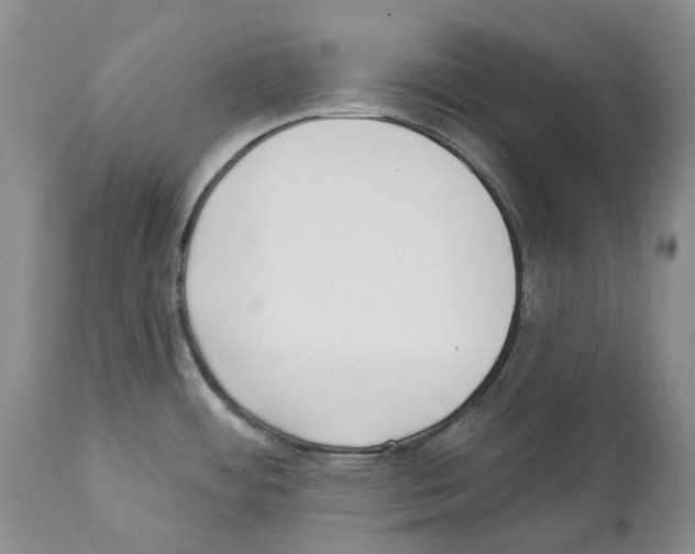 X0000112461484200909281008