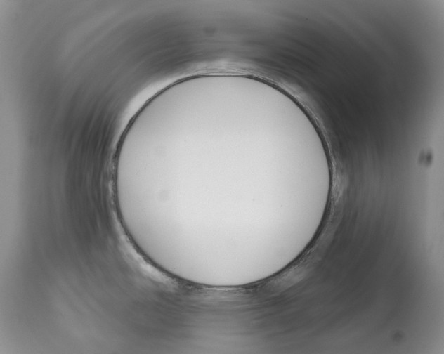 X0000112461486200909281008