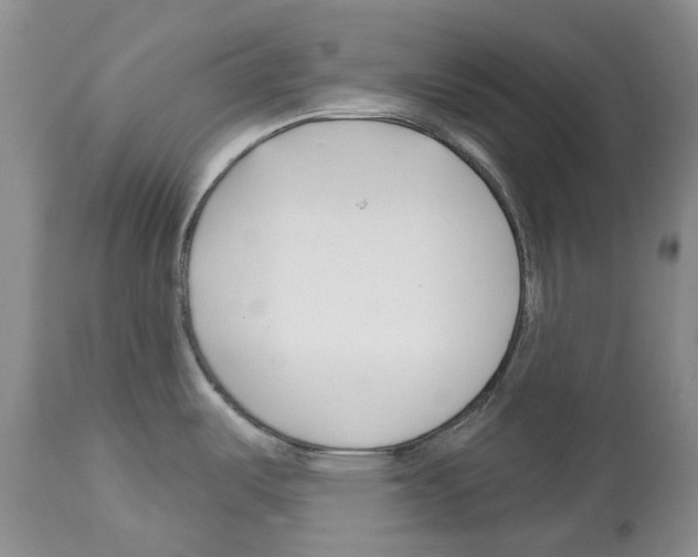 X0000112461487200909281008