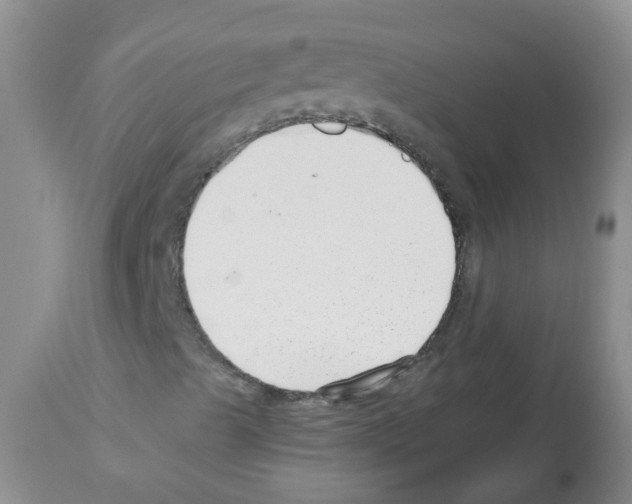 X0000112461489200909281007