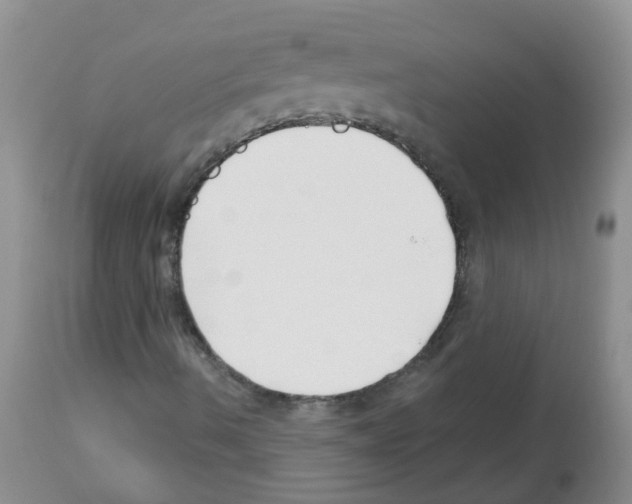 X0000112461490200909281007