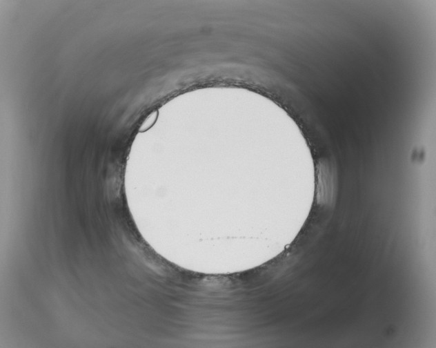X0000112461491200909281007