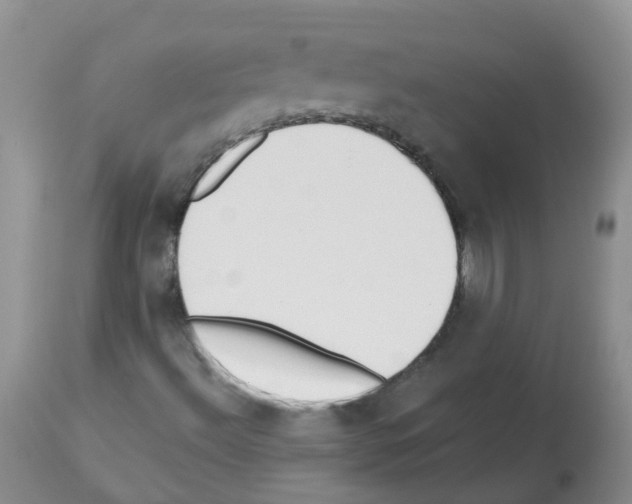 X0000112461492200909281007