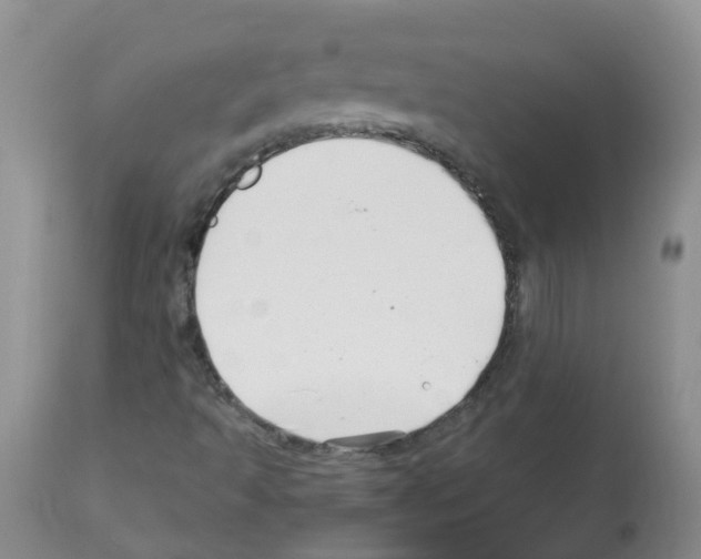 X0000112461493200909281007