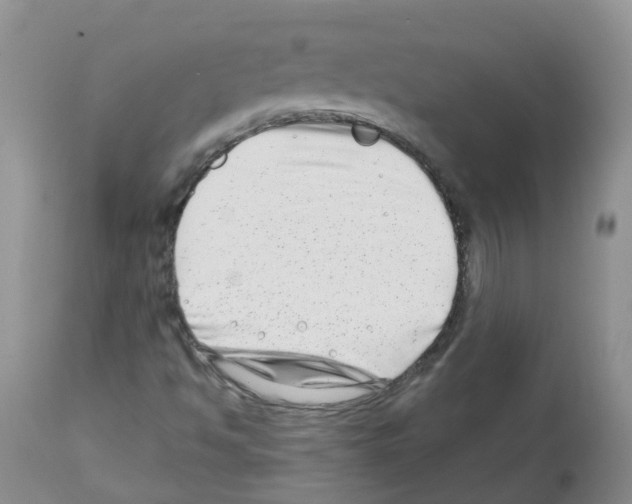 X0000112461494200909281007