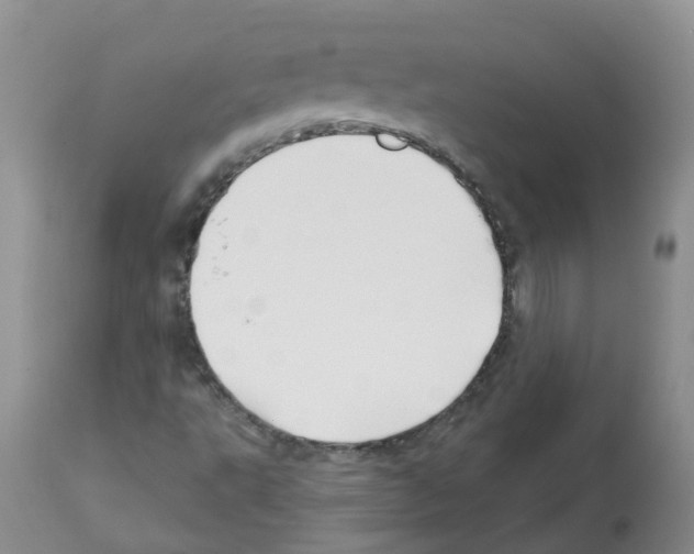 X0000112461495200909281007
