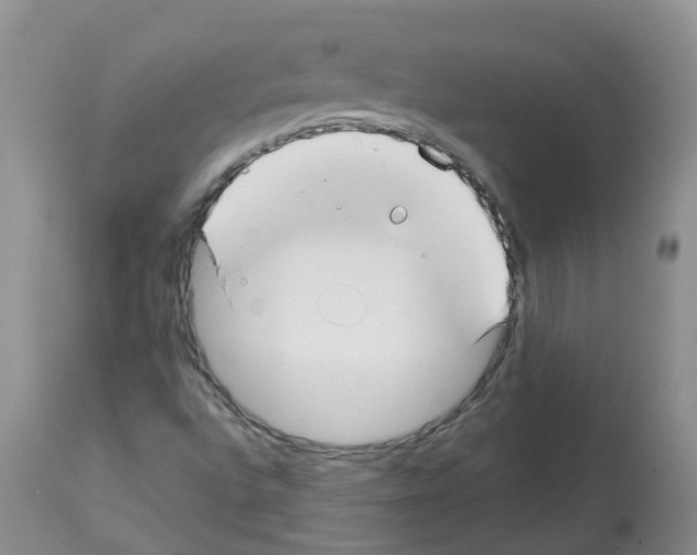 X0000112461496200909281007