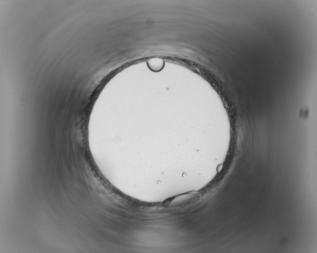 X0000112461497200909281007
