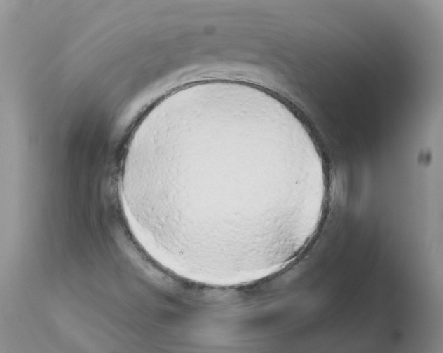 X0000112461498200909281007