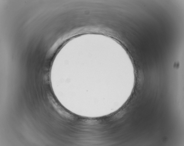 X0000112461499200909281007