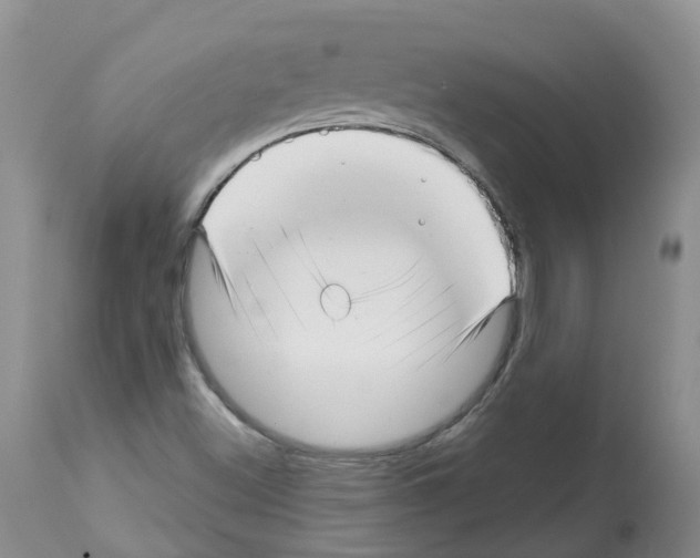 X0000112461500200909281007