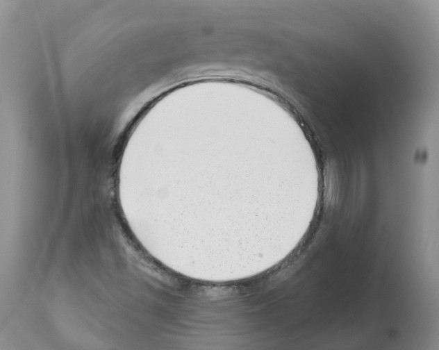 X0000112461501200909281007