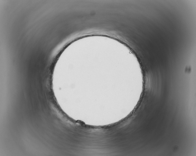 X0000112461502200909281007