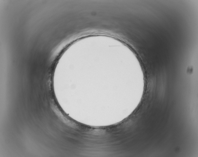 X0000112461503200909281007