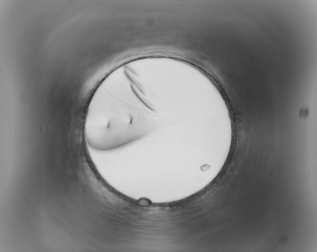 X0000112461504200909281007
