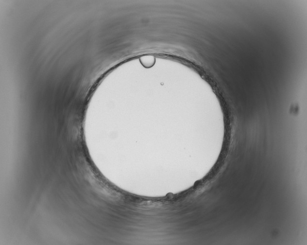 X0000112461505200909281007