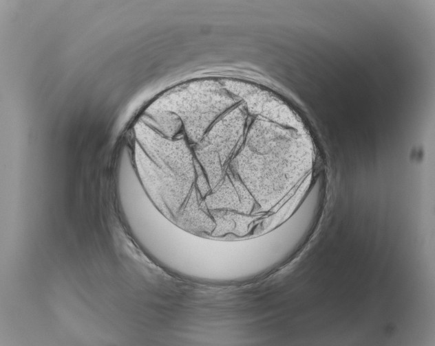 X0000112461506200909281007