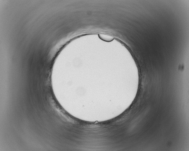X0000112461507200909281007