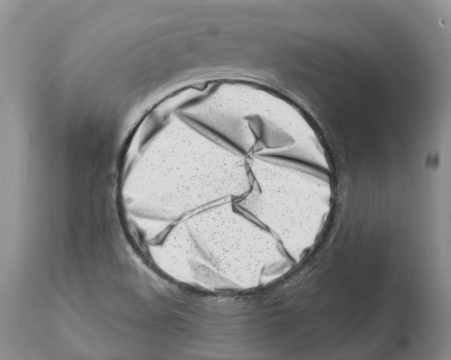 X0000112461508200909281007