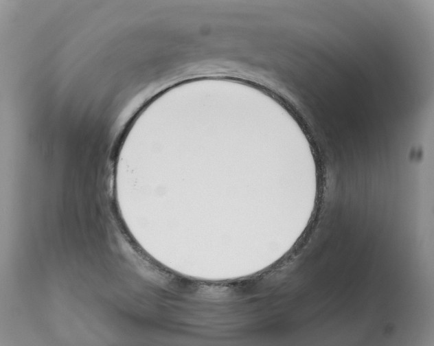 X0000112461509200909281007
