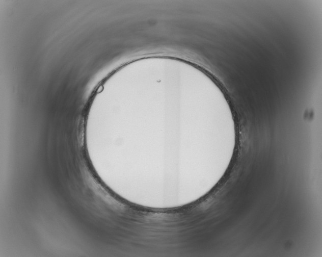 X0000112461510200909281007