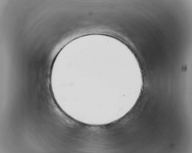 X0000112461512200909281007