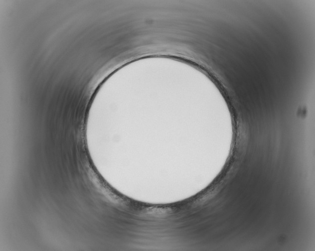 X0000112461513200909281007
