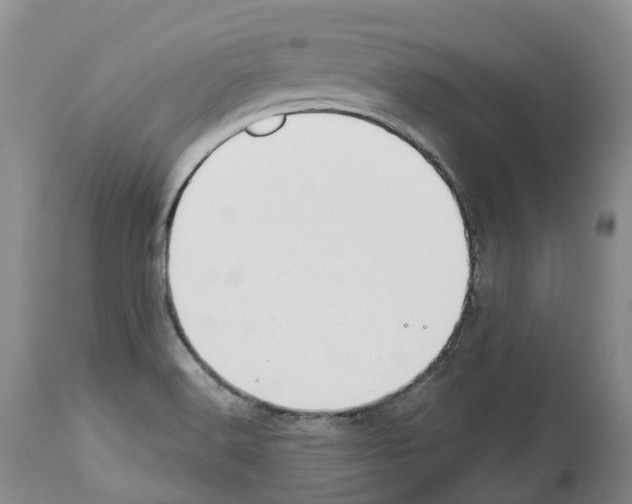X0000112461516200909281007