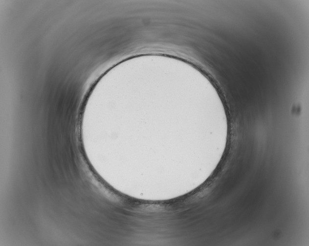 X0000112461517200909281007