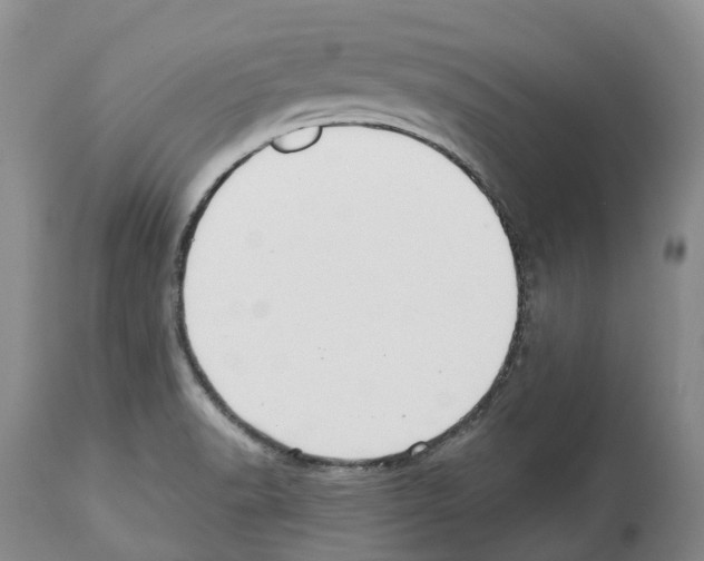 X0000112461518200909281007