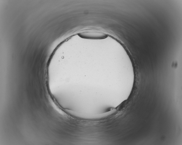 X0000112461519200909281007