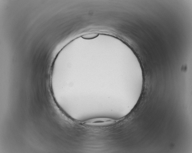 X0000112461520200909281007