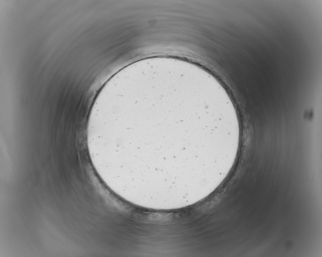 X0000112461521200909281007