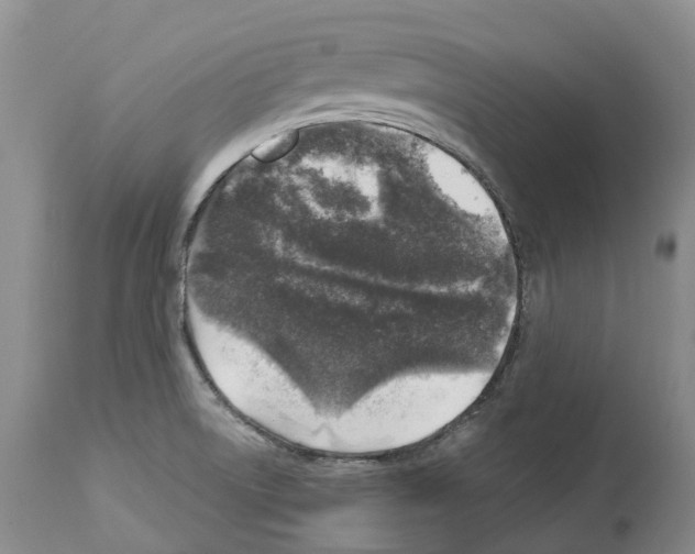 X0000112461522200909281007
