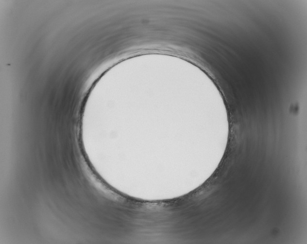 X0000112461523200909281007