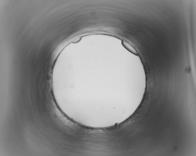 X0000112461524200909281007