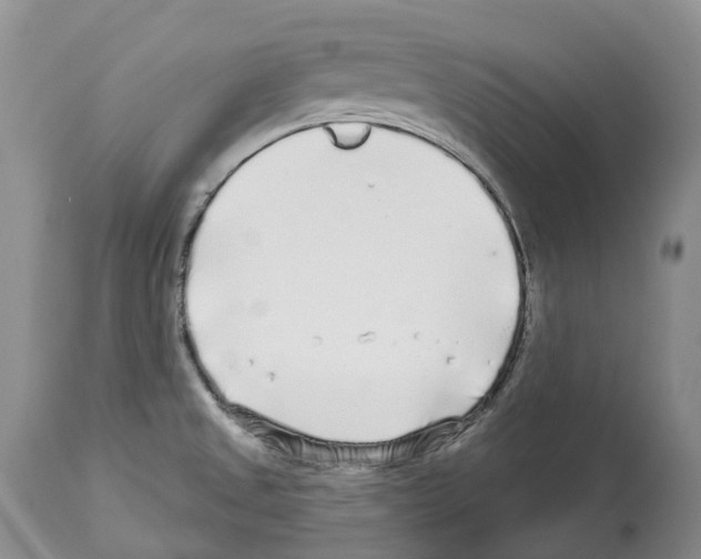 X0000112461525200909281007