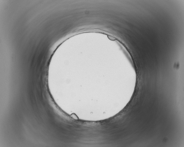 X0000112461526200909281007