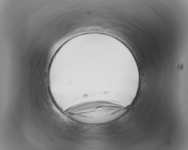 X0000112461527200909281007