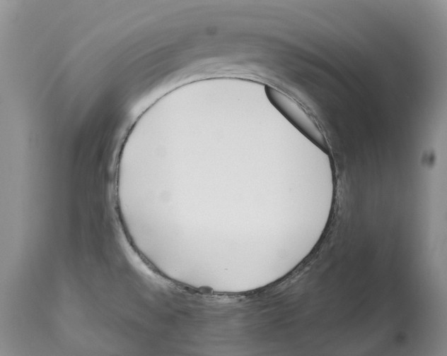 X0000112461528200909281007