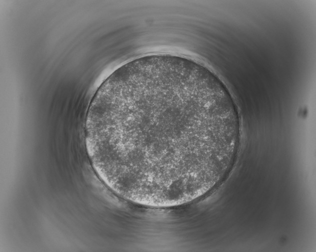 X0000112461529200909281007