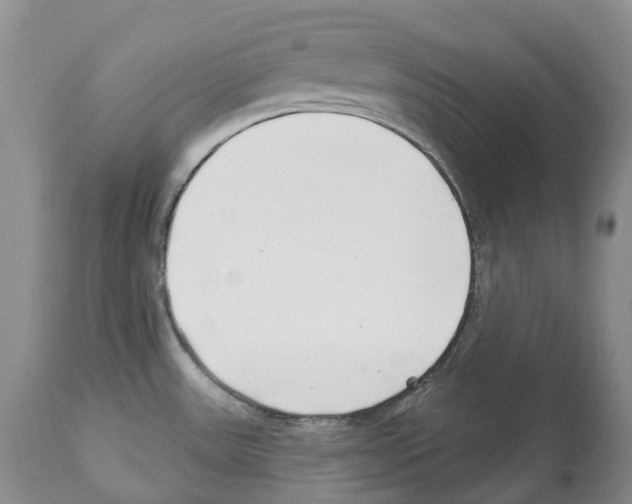 X0000112461531200909281007