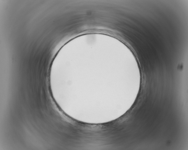 X0000112461533200909281007