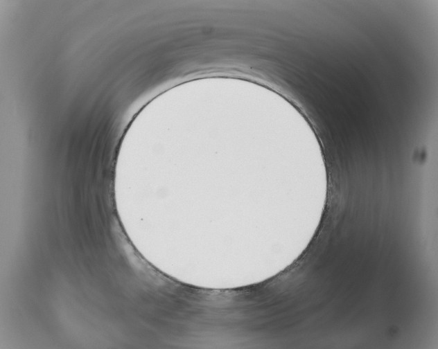 X0000112461534200909281008