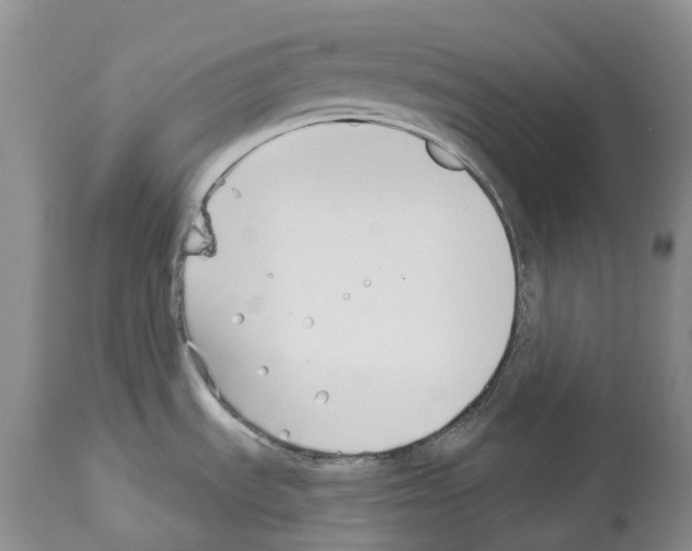 X0000112461535200909281008