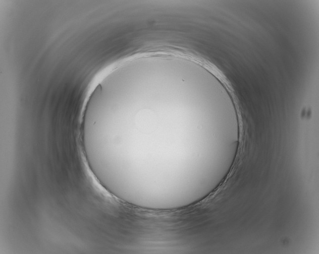 X0000112461536200909281008