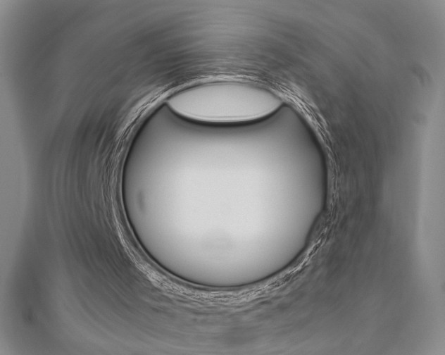 X0000112470001200908171000