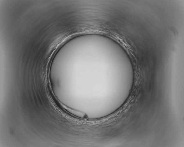 X0000112470002200908171000