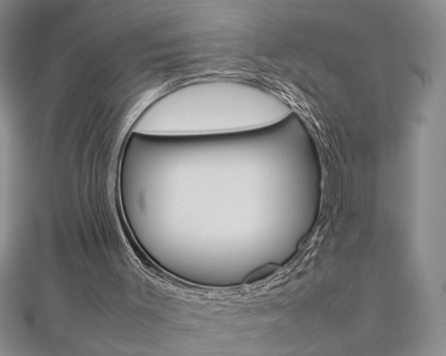 X0000112470003200908171000